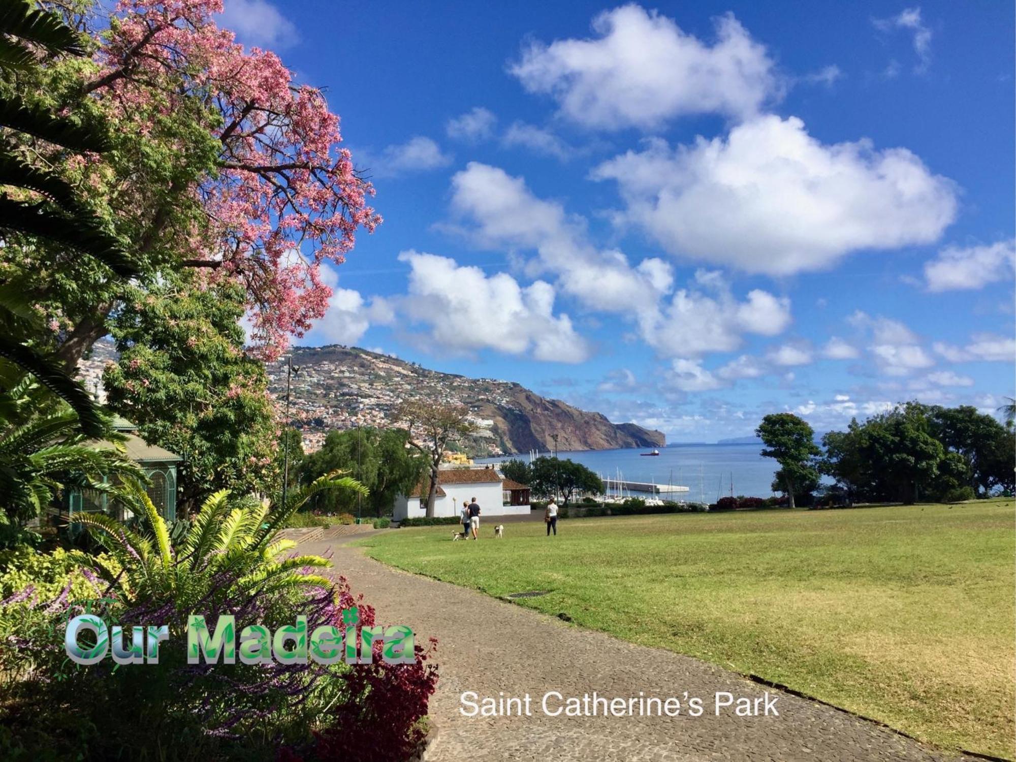 Ourmadeira - Heart Of Old Town I Διαμέρισμα Φουνκάλ Εξωτερικό φωτογραφία