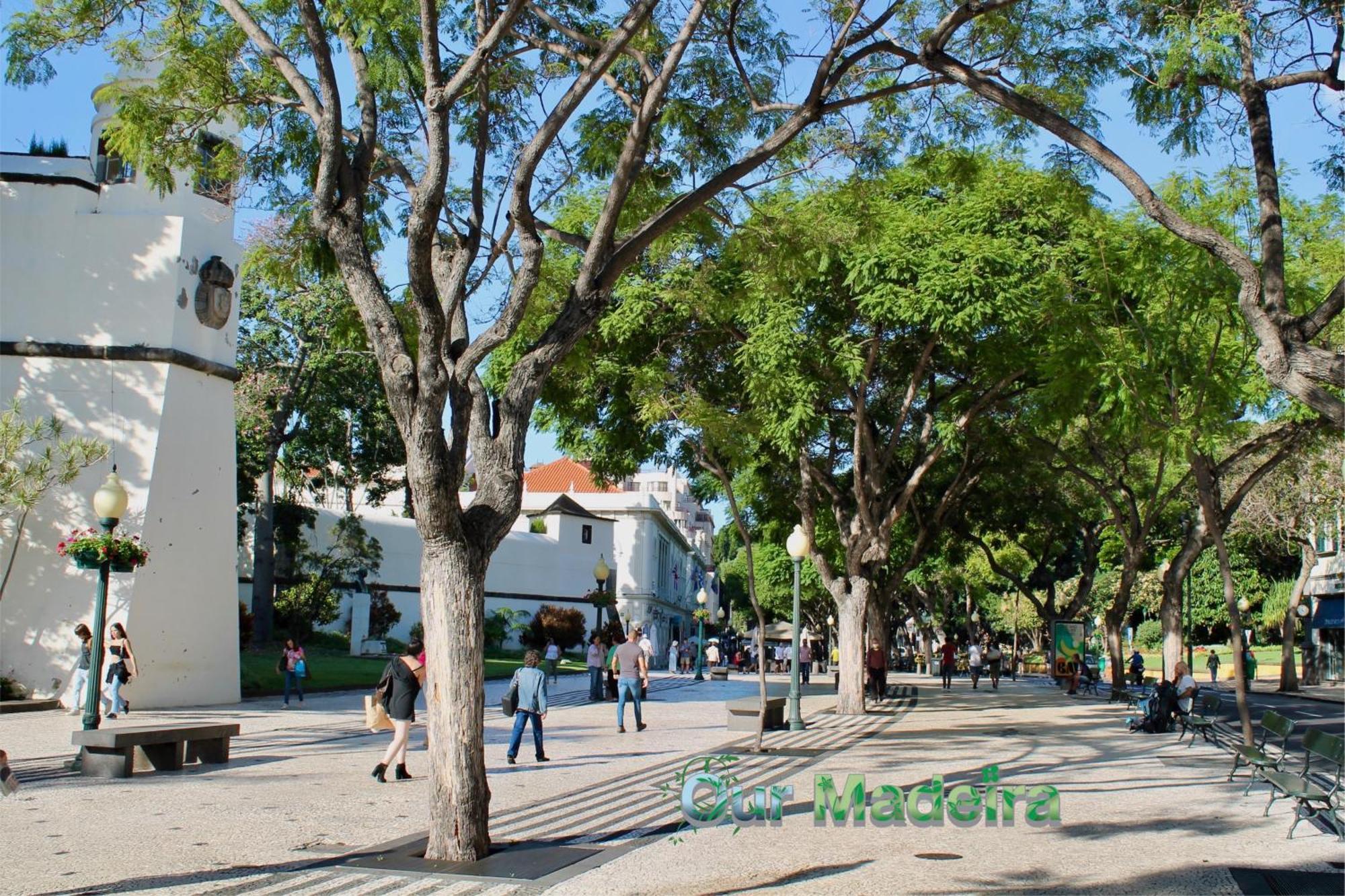 Ourmadeira - Heart Of Old Town I Διαμέρισμα Φουνκάλ Εξωτερικό φωτογραφία