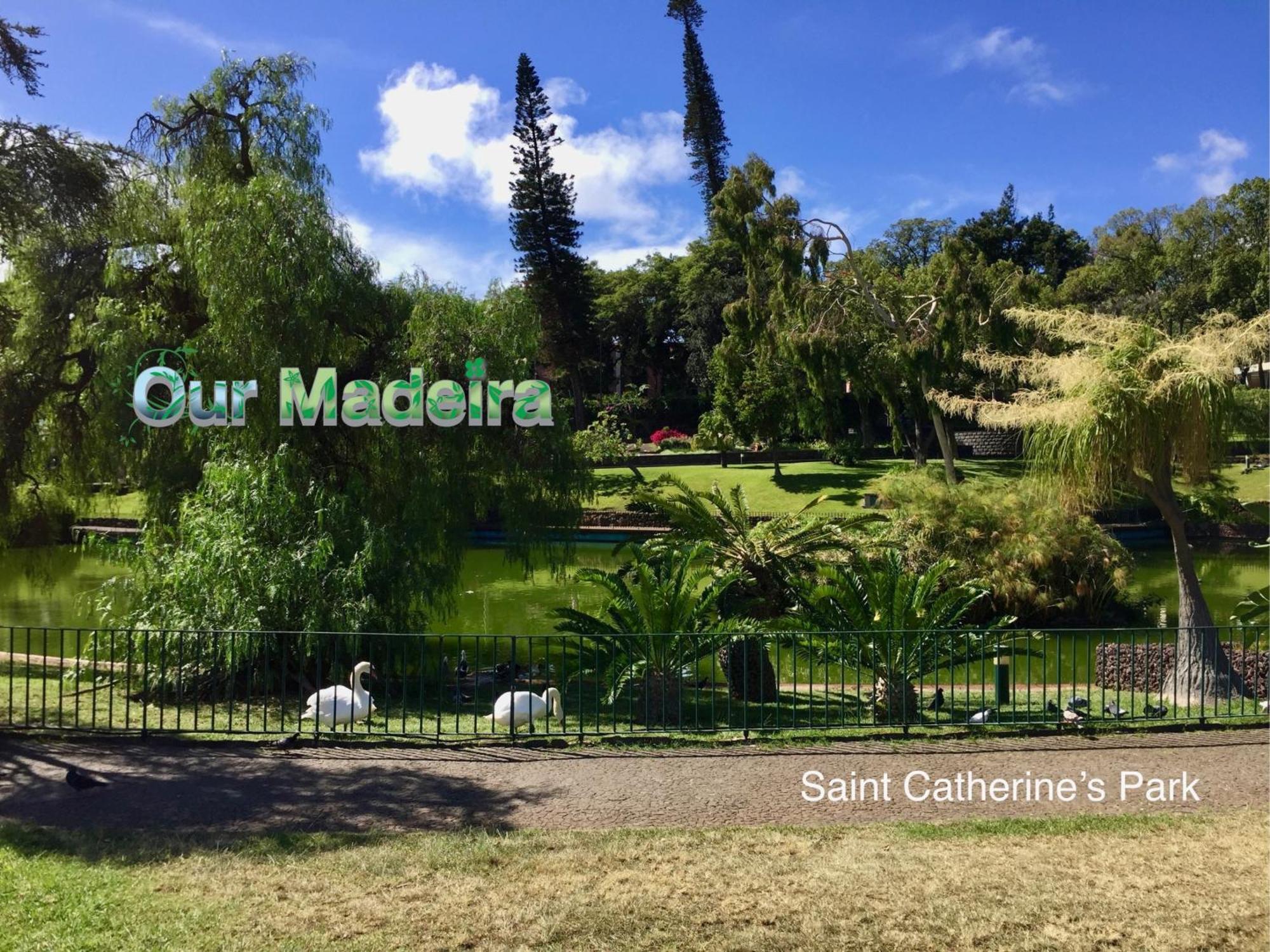 Ourmadeira - Heart Of Old Town I Διαμέρισμα Φουνκάλ Εξωτερικό φωτογραφία